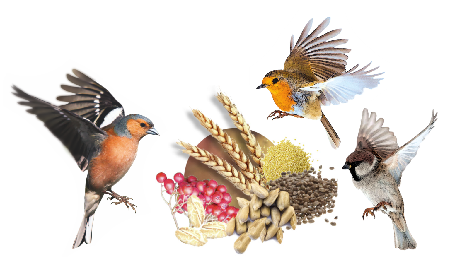 Delicia Garten-Vogelfutter, ganzjährig