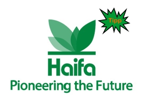 Haifa