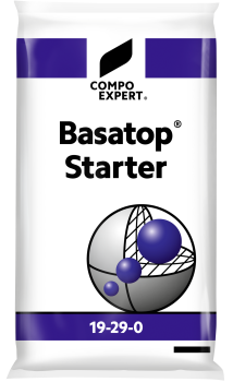 Basatop Starter 19-29-0(+2+2,4)  25kg