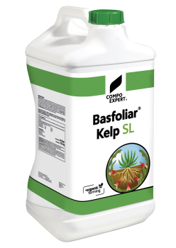 Basfoliar Kelp SL 10 Liter