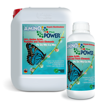 AMINO POWER Plus Liquid