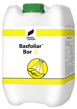 Basfoliar Bor SL 10 Liter
