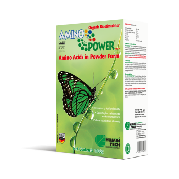 Preview: AMINO POWER WSP