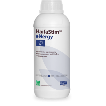 HaifaStim® eNergy - Aminosäuren