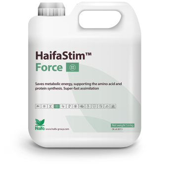 HaifaStim® Force