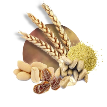 Preview: Activ Blocs Pick-Me-UP