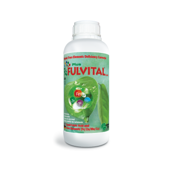 Preview: FULVITAL Plus Liquid