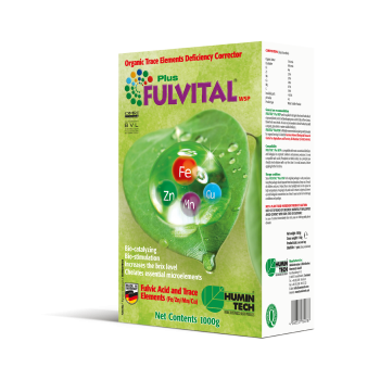 Preview: FULVITAL Plus WSP