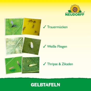 Preview: Gelbtafeln