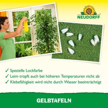 Gelbtafeln