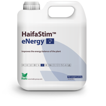 HaifaStim® eNergy - Aminosäuren