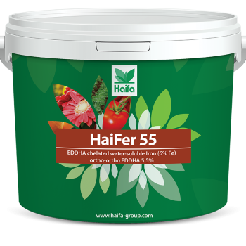 HaiFer 55 Eisenchelat EDDHA
