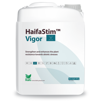 HaifaStim Vigor Aminosäuren