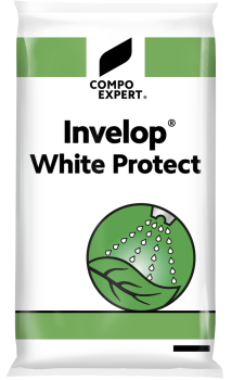 Invelop White Protect 25 kg