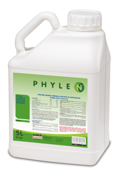 Phylen