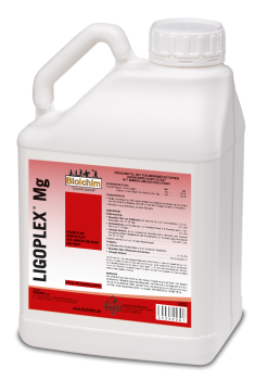 Ligoplex Mg