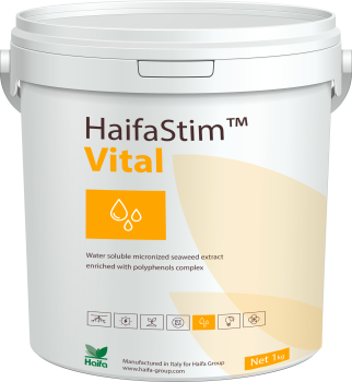 Preview: HaifaStim® Vital Amino und Alginsäuren + Betain
