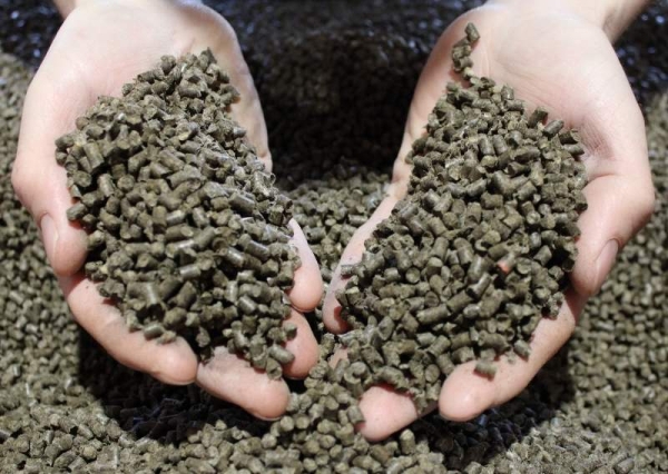 Falter Bio Schafwolldünger Mini-Pells 4mm (10+0,2+6,6)