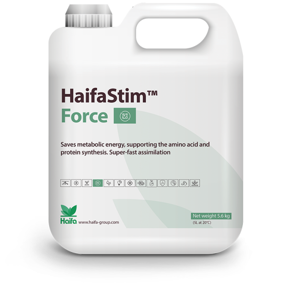 HaifaStim® Force