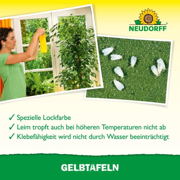 Gelbtafeln