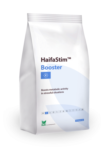 HaifaStim® Booster Aminosäuren + Mikroelemente