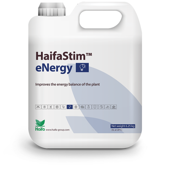 HaifaStim® eNergy - Aminosäuren