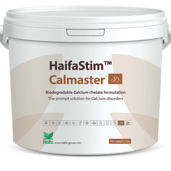 HaifaStim Calmaster