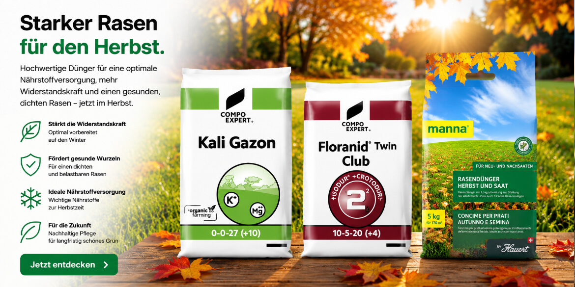Starker Rasen für den Herbst - passende Dünger